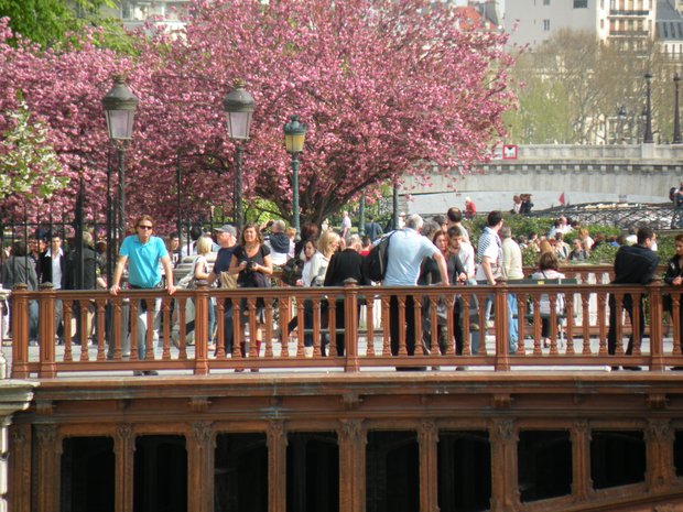  On the bridge